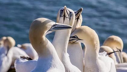 这个点很多人没意识到：51视频网站越用越顺的秘密：先把缓存管理做对（建议反复看）