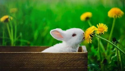 你以为是运气，其实：51视频网站为什么你总刷到同一类内容？多半是夜间模式没弄明白（越早知道越好）