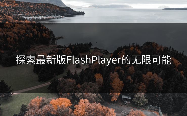 探索最新版FlashPlayer的无限可能