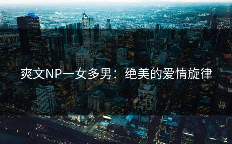 爽文NP一女多男：绝美的爱情旋律