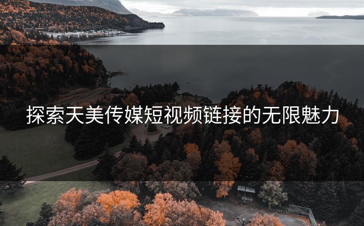 探索天美传媒短视频链接的无限魅力