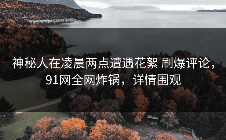 神秘人在凌晨两点遭遇花絮 刷爆评论，91网全网炸锅，详情围观